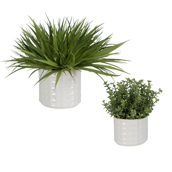 Edgewood Greenery, Set/2