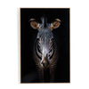 Zebra Stare By Getty Images