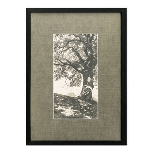 Moe's Arise Framed Print with Solid Wood Frame