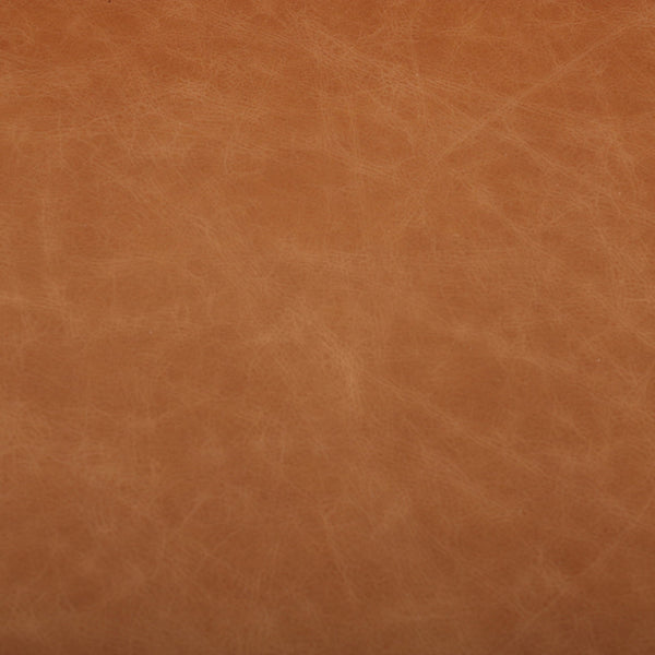 Diana Sofa - Sonoma Butterscotch