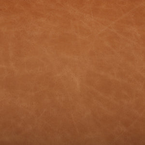 Diana Sofa - Sonoma Butterscotch