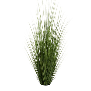 Switchgrass Unpotted Set