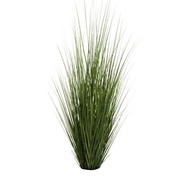 Switchgrass Unpotted Set