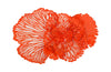 Flower Wall Art, Coral, MD