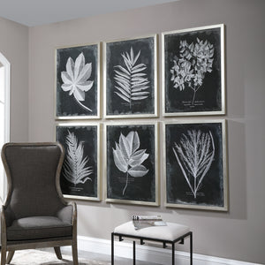 Foliage Framed Prints