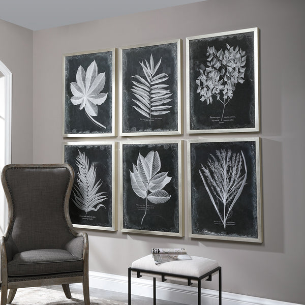 Foliage Framed Prints