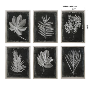 Foliage Framed Prints