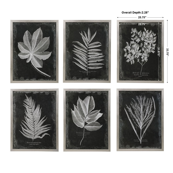 Foliage Framed Prints