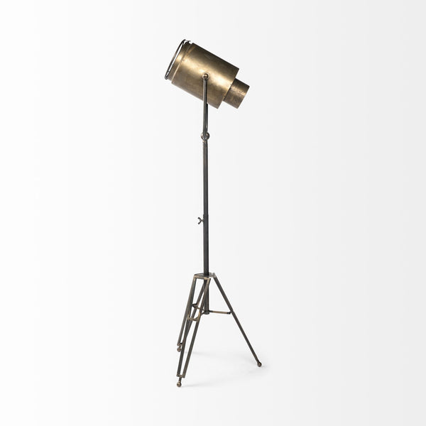 Debdou (61"H) Gold Metal Adjustable Cinema-Style Floor Lamp