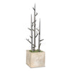 SS Tree Limbs in Urbano Cube Fiber Clay Planter