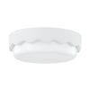 Wave Flush Mount