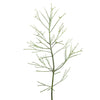 Pencil Cactus, green