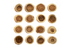Slice Wall Décor,Natural,Wood 1Pc
