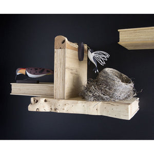 Wood Book Shelf, Step