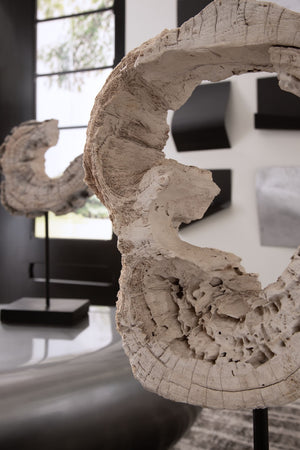 Eroded Wood Circle Sculpture on Stand , Assorted