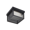 Innovation AC9176BK Outdoor Ceiling Light in Black