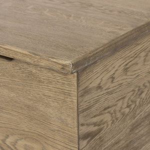 Quintin Trunk - Worn Oak