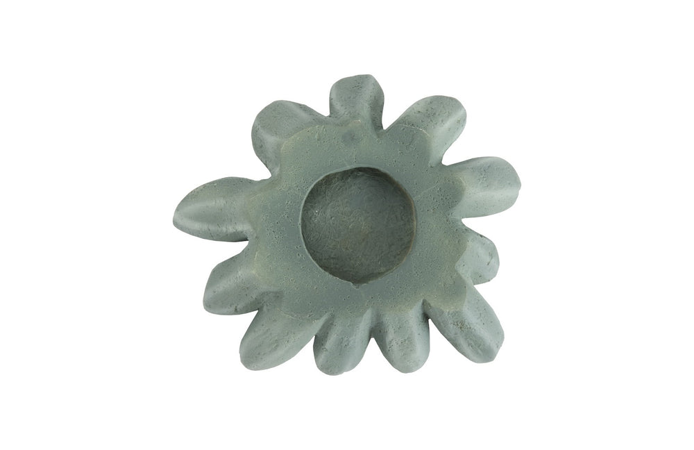 Compactum Succulent Wall Art, Forest