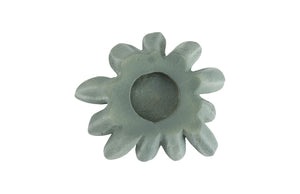 Compactum Succulent Wall Art, Forest