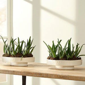 Coco Ceramic Decorative Pedestal