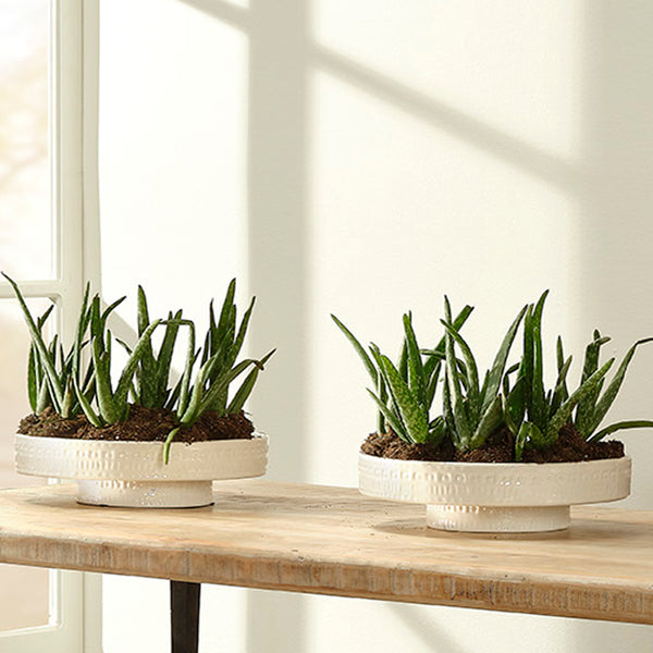 Coco Ceramic Decorative Pedestal