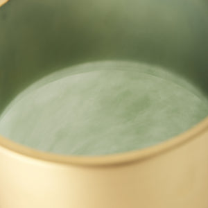 Minty Medium 8.7L x 8.7W x 12.4H Green Glass Vase W/Matte Gold Metal Neck Cuff