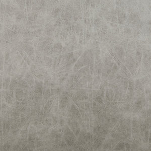 Jayden Dining Side Chair In Vintage Mist Gray (Set of 2)