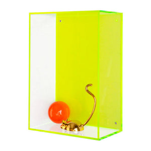 Neon Hanging Acrylic Box