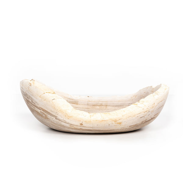 Oval Petrified Wood Bowl In Petrified Wood