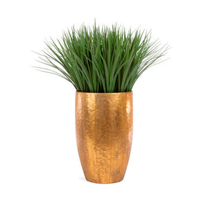 Liriope Grass in Hammered Suza Planter