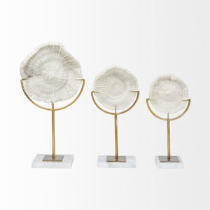 Sandy I (Small) 6L x 3W White Coastal Sand Dollar Object