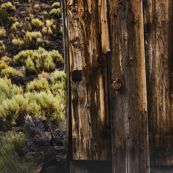 Portal by Shade Degges In 249831 And 002 And 30.0x40.0 And Rustic 2.5 Walnut And Large