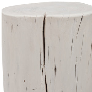 Brooks Wood Stump
