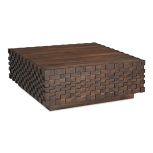 Easton Storage Coffee Table in Brown Wood