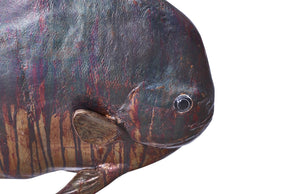Australian Batfish Fish Wall Sculpture, Copper Patina