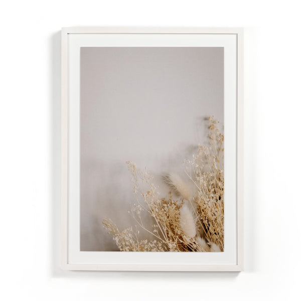 Dried Floral Dyptich By Annie Spratt