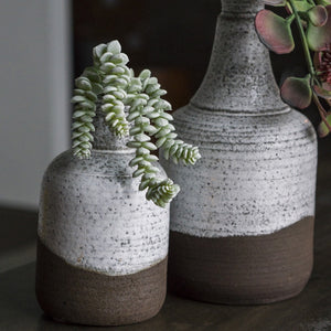Burro's Tail in Oxide Bottle