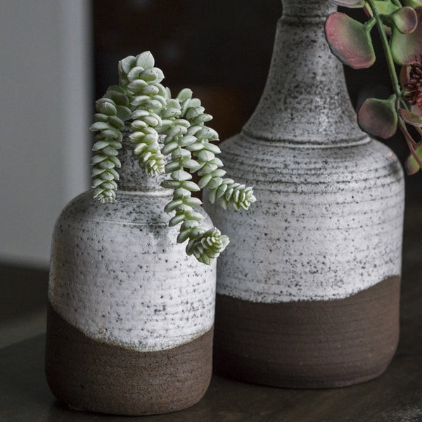 Burro's Tail in Oxide Bottle