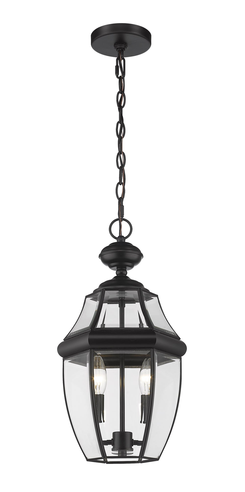 Westover 2 Light Outdoor Chain Mount Ceiling Fixture in Black Finish