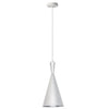 1LT Pendant,Aluminum