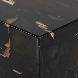 Shep End Table In Polished Petrified Wood