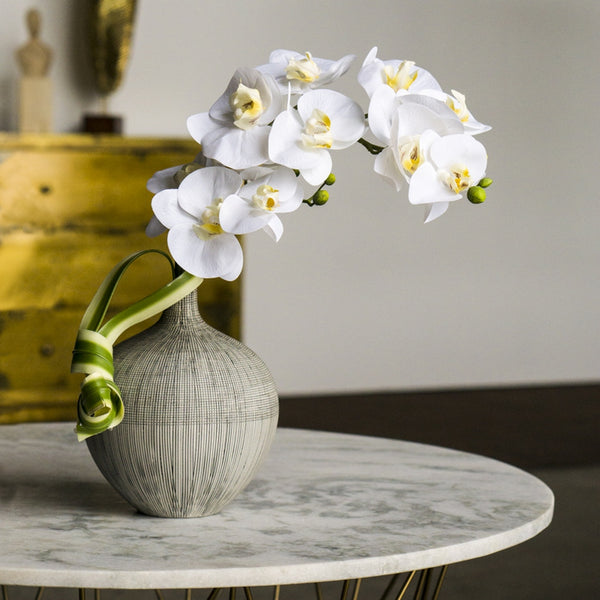 Vortex Vase with White Phalaenopsis Orchid