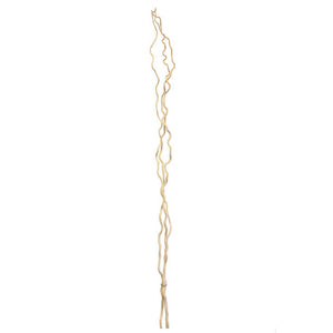 Kuwa Branches