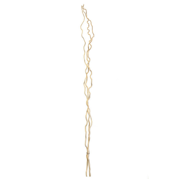 Kuwa Branches