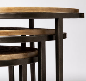 Glover (Set of 3) 20L x 20W Brown Wood Round Top W/Metal Nesting Accent Tables