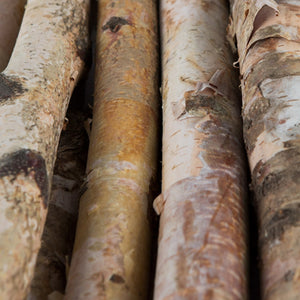 Natural Birch Logs