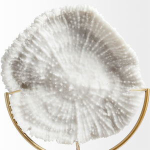 Sandy I (Small) 6L x 3W White Coastal Sand Dollar Object