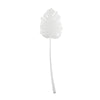 SEYCHELLES Wall Sconce