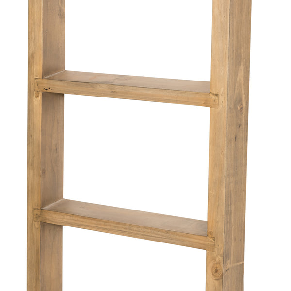 Bane Bookshelf and Ladder in Smoked Pine