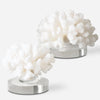 Hard Coral Sculptures, S/2